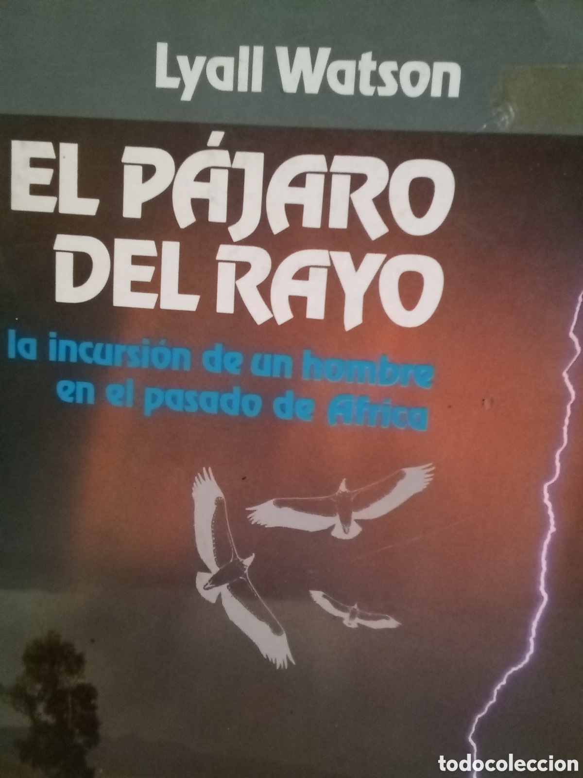 Libros de segunda mano: Lyall Watson. El p&aacute;jaro del rayo. La incursi&oacute;n de un hombre en el pasado de &Aacute;frica