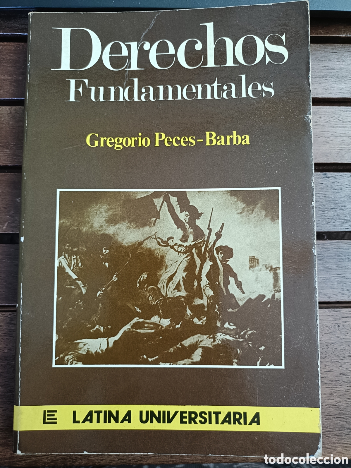 Libros de segunda mano: Derechos fundamentales, Gregorio Peces-Barba. Latina universitaria. Sociolog&iacute;a, ensayo, derecho