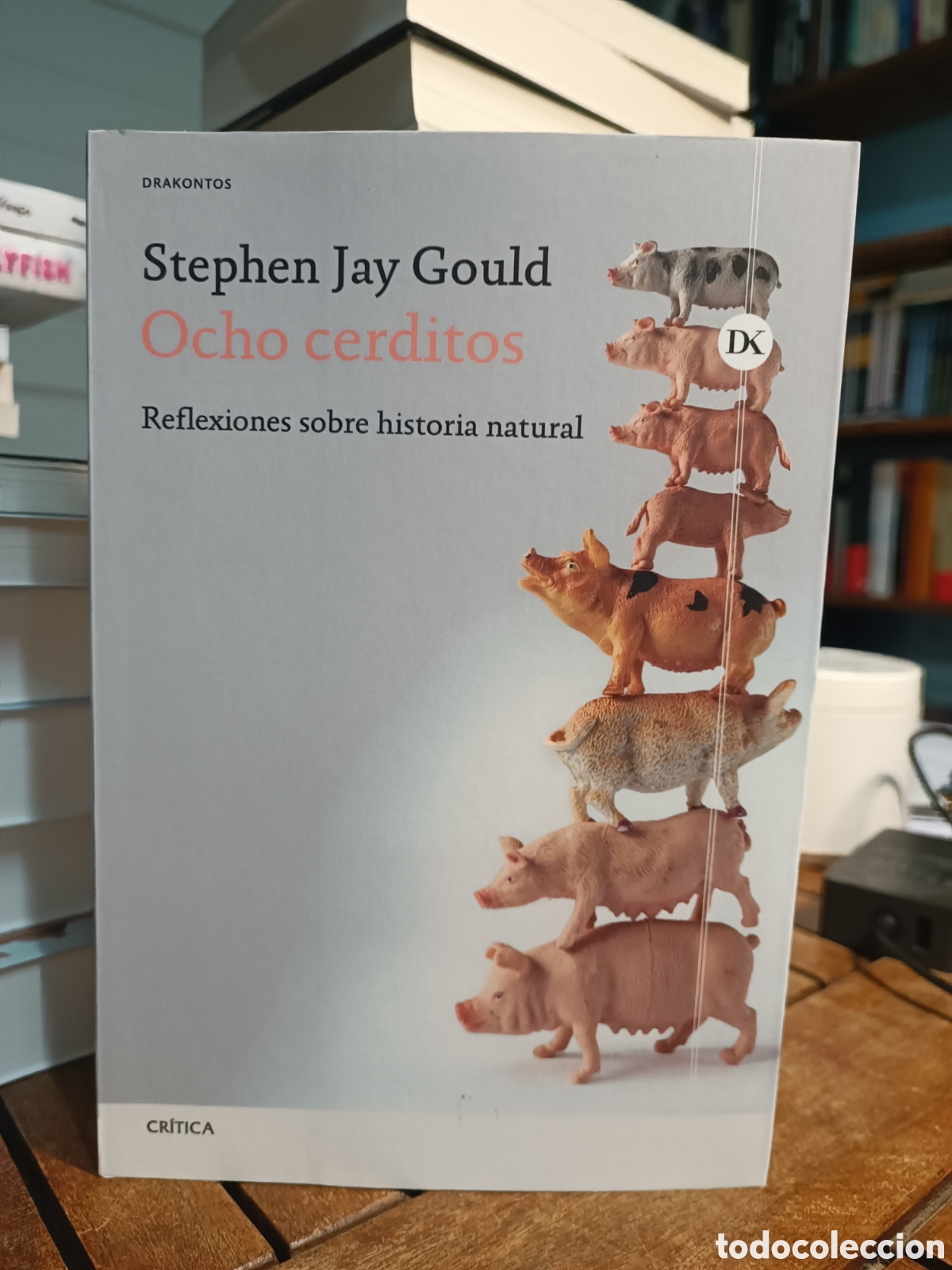 Gebrauchte B&uuml;cher: Ocho cerditos Reflexiones sobre historia natural Stephen Jay Gould Critica 2026