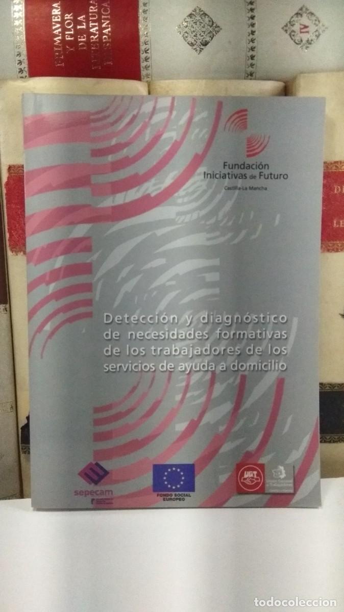 Libros de segunda mano: DETECCI&Oacute;N Y DIAGN&Oacute;STICO DE LAS NECESIDADES FORMATIVAS DE LOS TRABAJADORES DE LOS SERVICIOS DE AYUDA