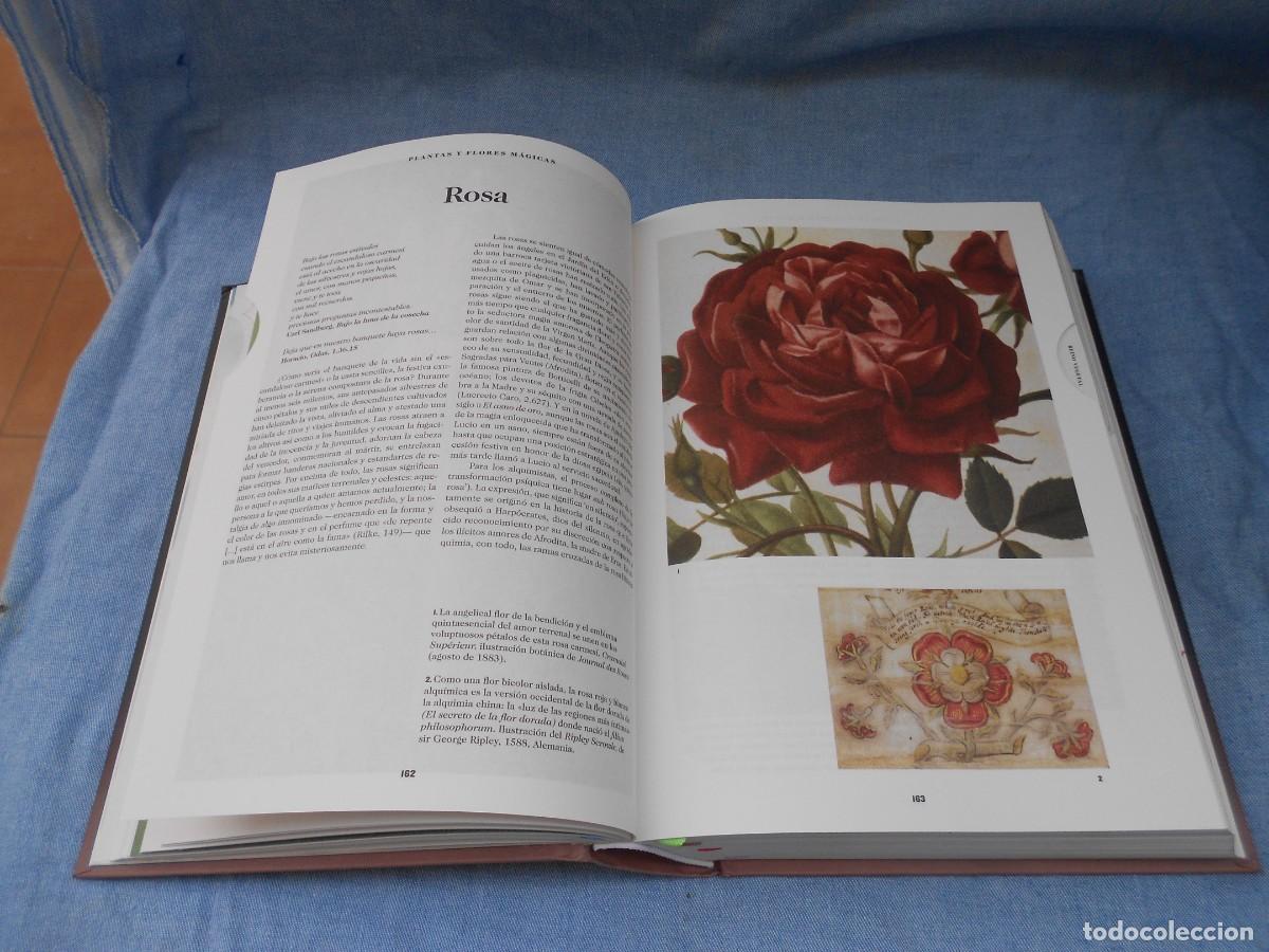 Libros de segunda mano: EL LIBRO DE LOS SIMBOLOS - Foto 9
