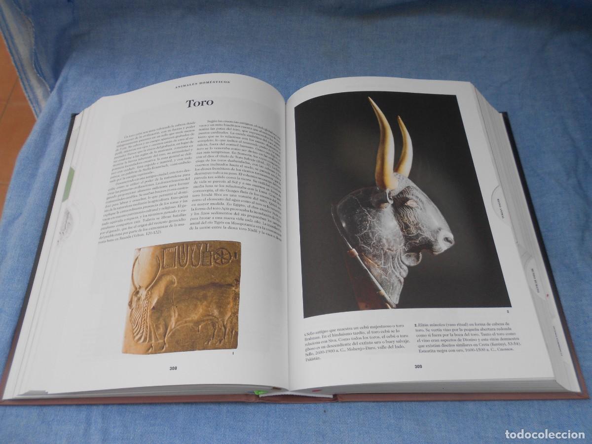 Libros de segunda mano: EL LIBRO DE LOS SIMBOLOS - Foto 13