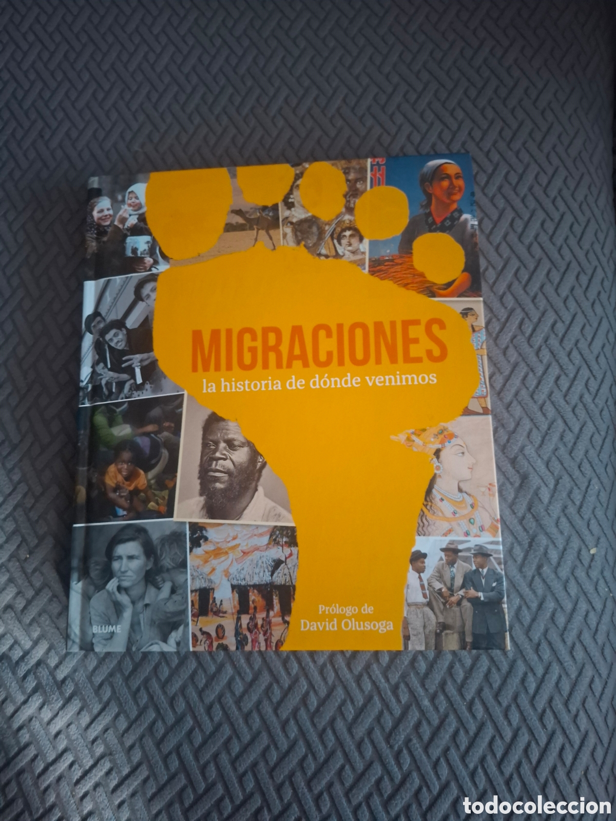Libros de segunda mano: Migraciones La historia de donde venimos. Tapa dura muchas fotograf&iacute;as. Ed Blume