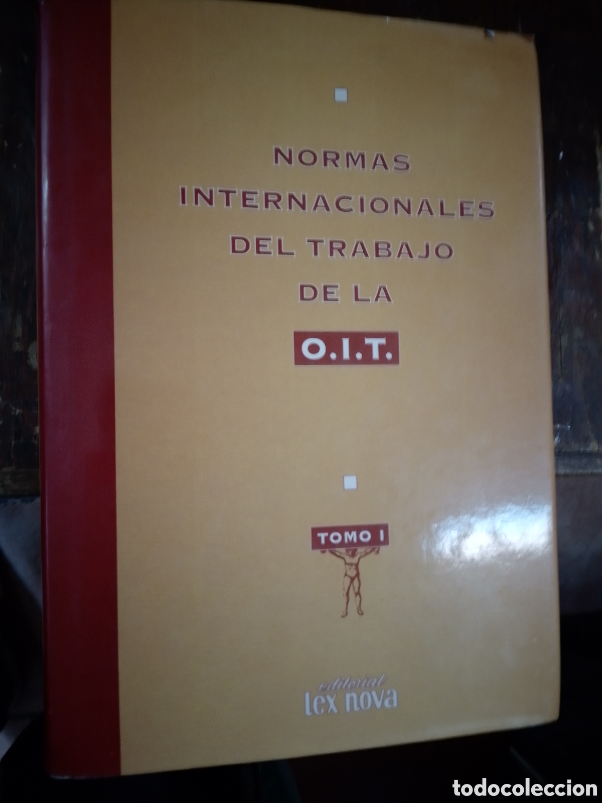 Libros de segunda mano: NORMAS INTERNACIONALES DEL TRABAJO DE LA O. I. T. TOMO I. LEX NOVA. VALLADOLID. 1993
