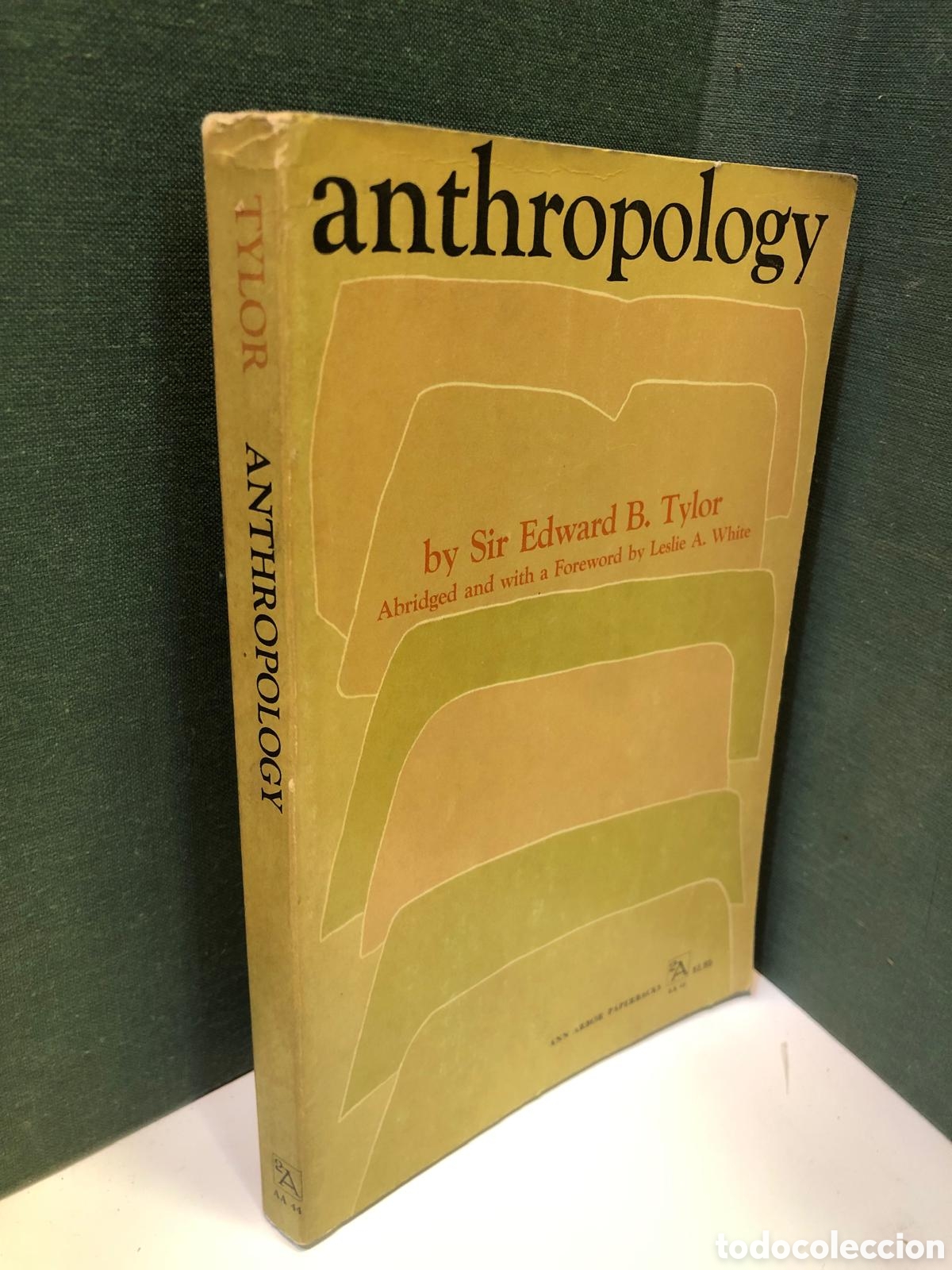 Libros de segunda mano: Anthropology - Sir Edward B. Tylor