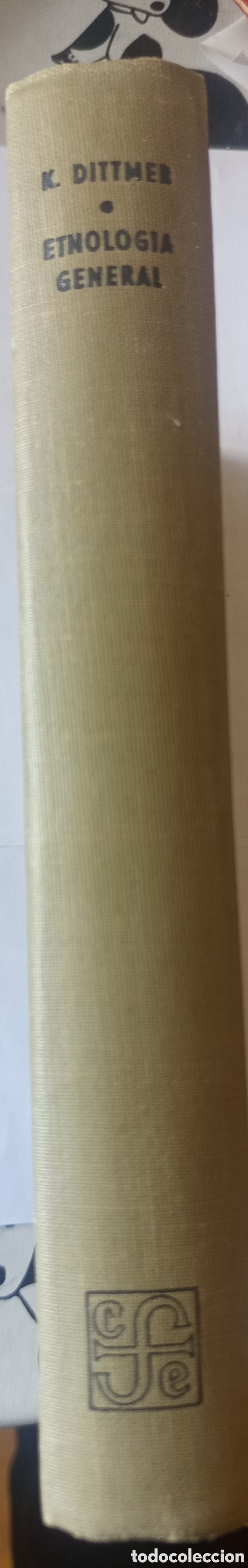 Libros de segunda mano: Etnolog&iacute;a general - Kunz Dittmer - Foto 2