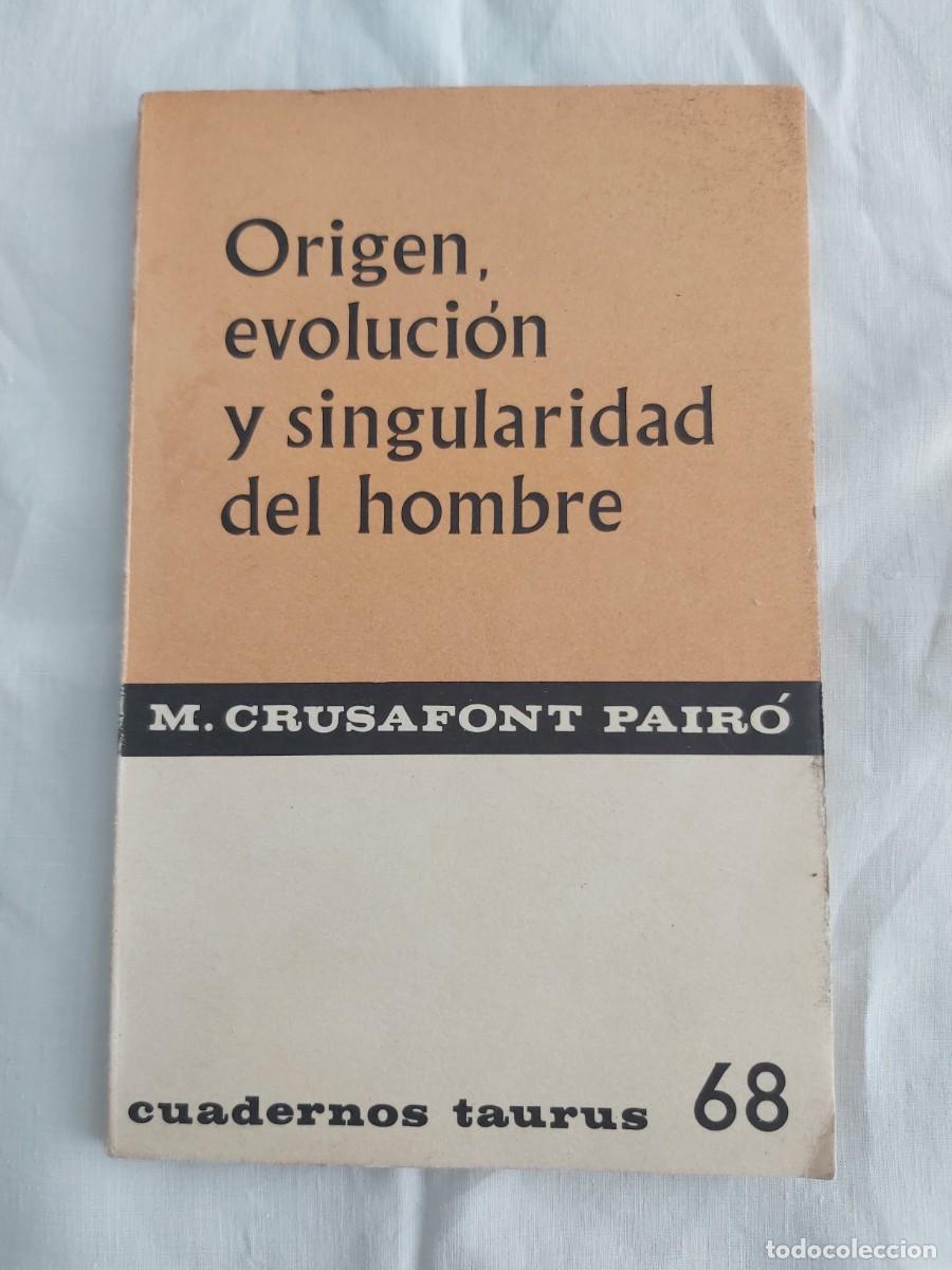 Libros de segunda mano: Libro Origen, evoluci&oacute;n y singularidad del hombre - M. Crusafont Pair&oacute; (Cuadernos Taurus 68, 1965)
