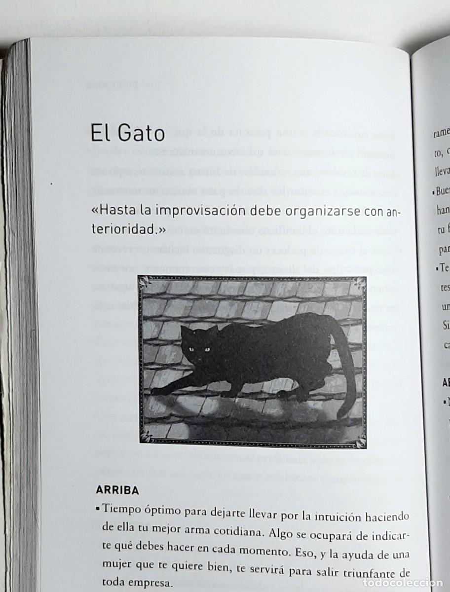 Libros de segunda mano: TAROT GITANO. YASNA ROMNI. SEYLA. C&Uacute;PULA. PRIMERA EDICI&Oacute;N. 2010. - Foto 5