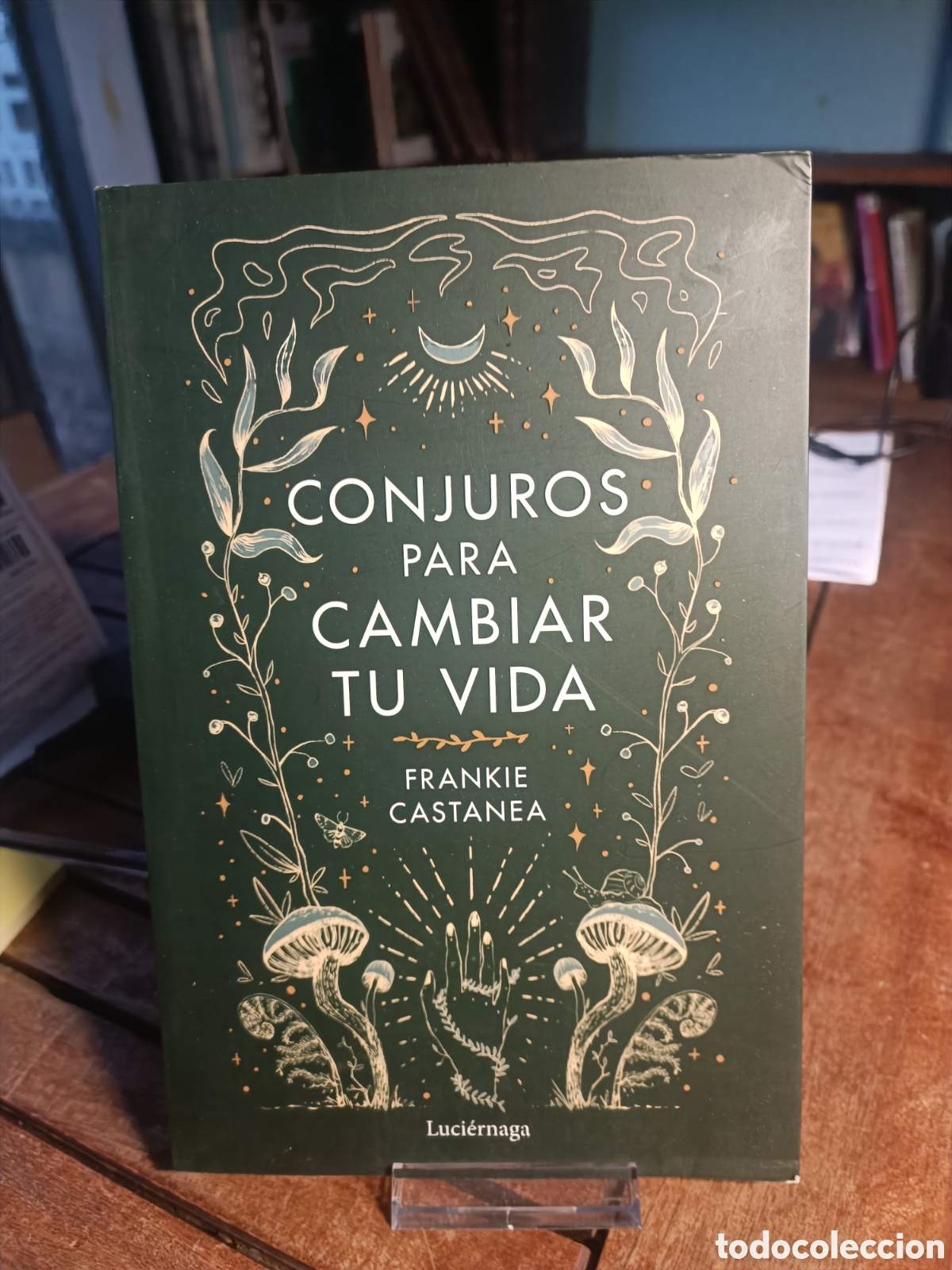 Libros de segunda mano: Conjuros para cambiar tu vida Frankie castanea luci&eacute;rnaga 2023