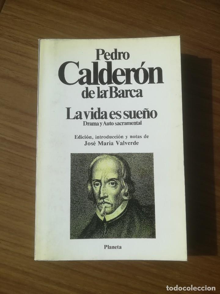 La Vida Es Un Sueño Deutsche übersetzung