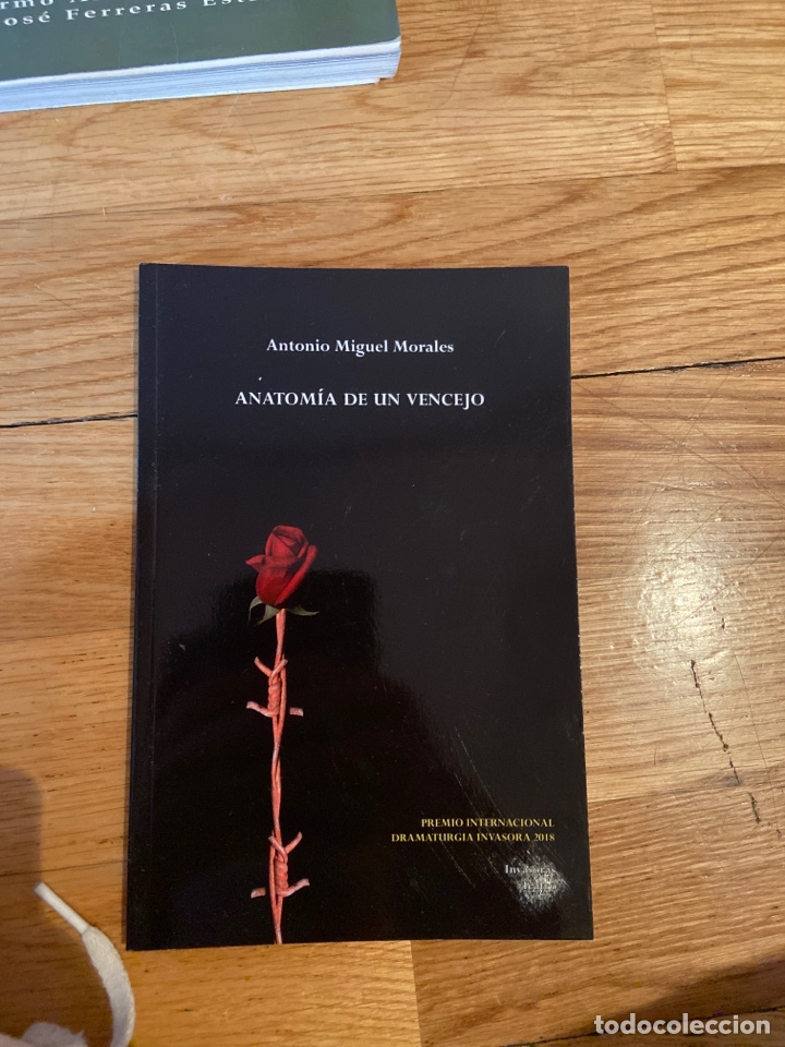 Livres d'occasion: Antonio Miguel Morales anatom&iacute;a de un Vencejo