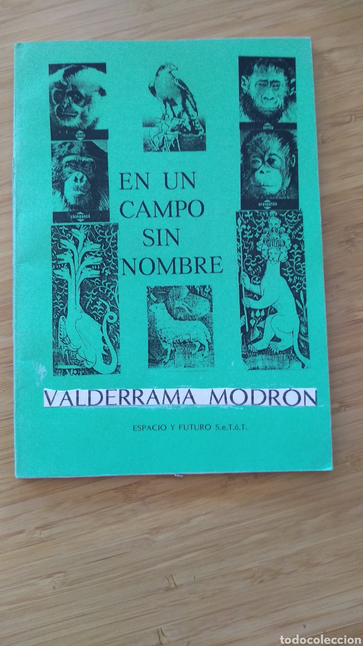 Second hand books: En un campo sin nombre - Luis Valderrama Modron