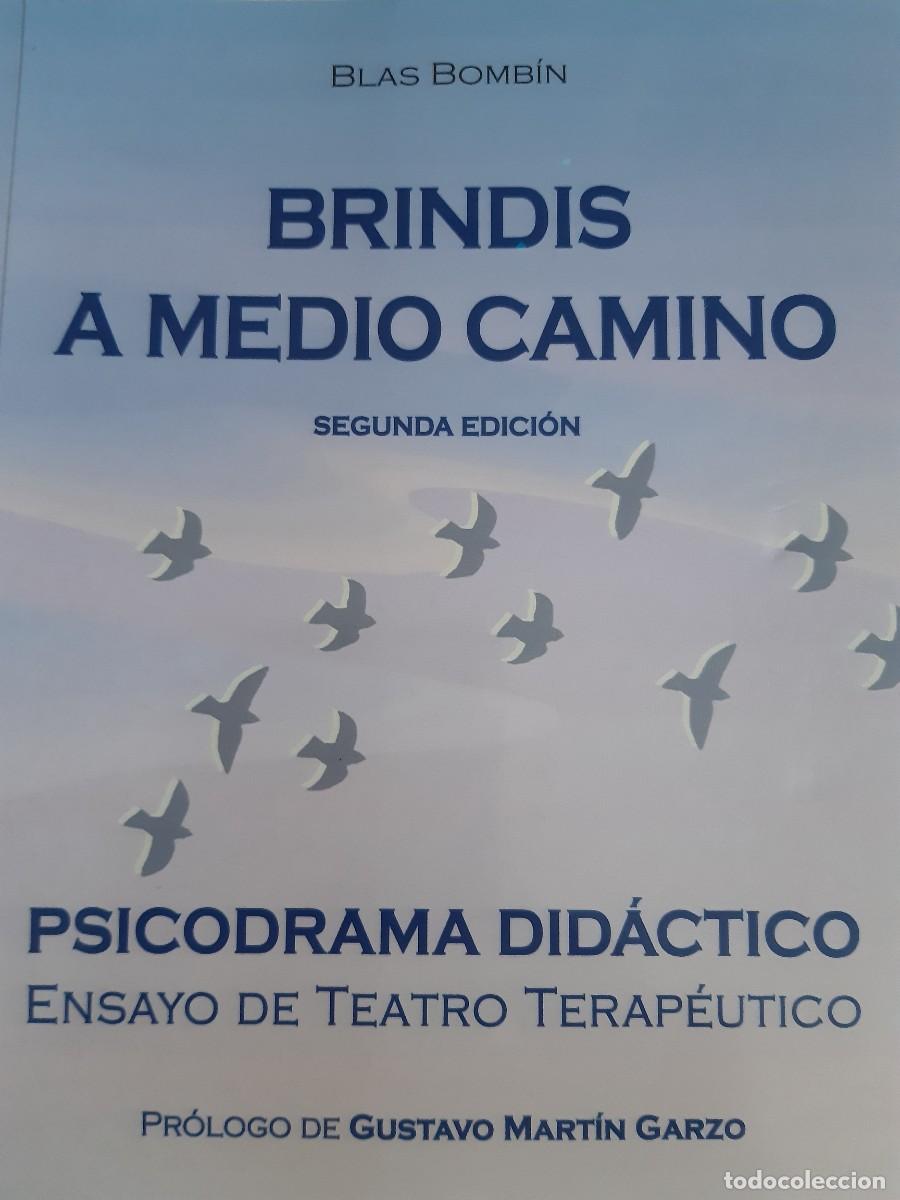 Gebrauchte B&uuml;cher: Brindis a medio camino psicodrama did&aacute;ctico ensayo de teatro terap&eacute;utico Blas Bomb&iacute;n Gustavo Mart&iacute;n