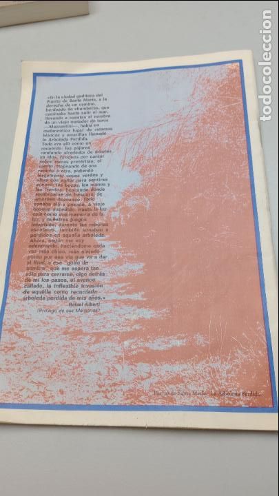 Libros de segunda mano: PROGRAMA DE EL ADEFESIO DE RAFAEL ALBERTI. CORRAL DE COMEDIAS. 1976 TEATRO - Foto 7