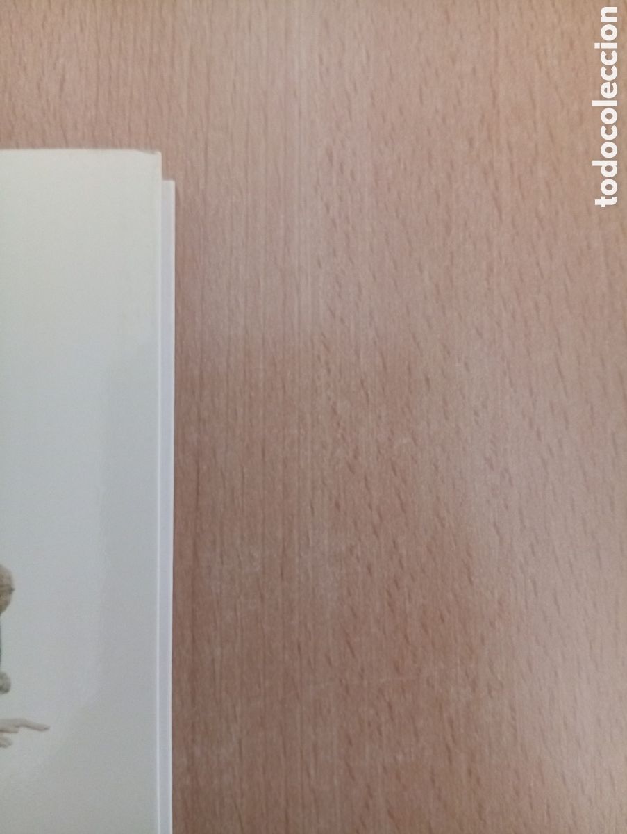Libros de segunda mano: TERRA BAIXA. &Agrave;ngel Guimer&agrave; - Foto 4