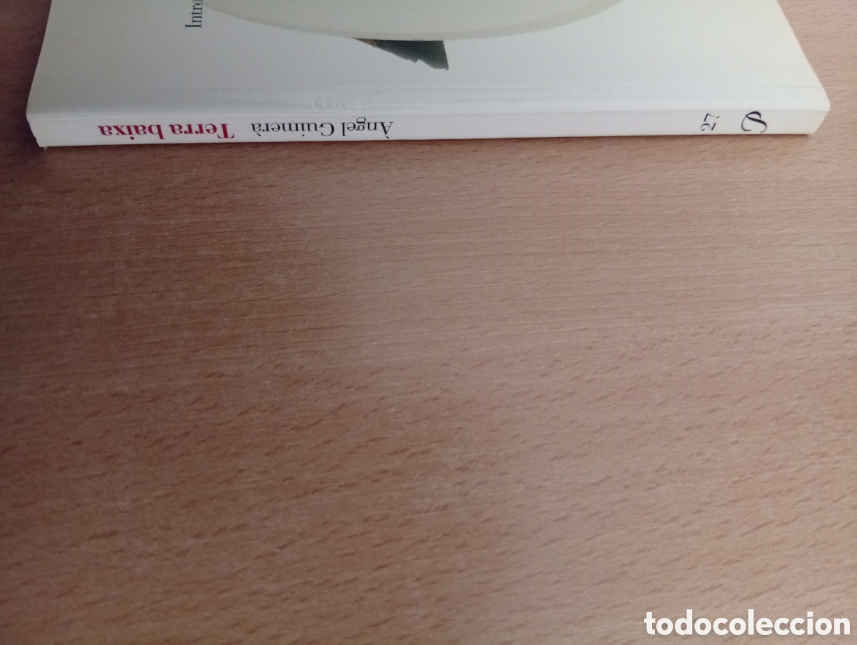 Libros de segunda mano: TERRA BAIXA. &Agrave;ngel Guimer&agrave; - Foto 6