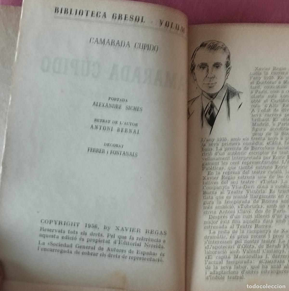 Libros de segunda mano: CAMARADA CUPIDO - XAVIER REGAS - BIBLIOTECA GRESOL - EN CATALA - Foto 3