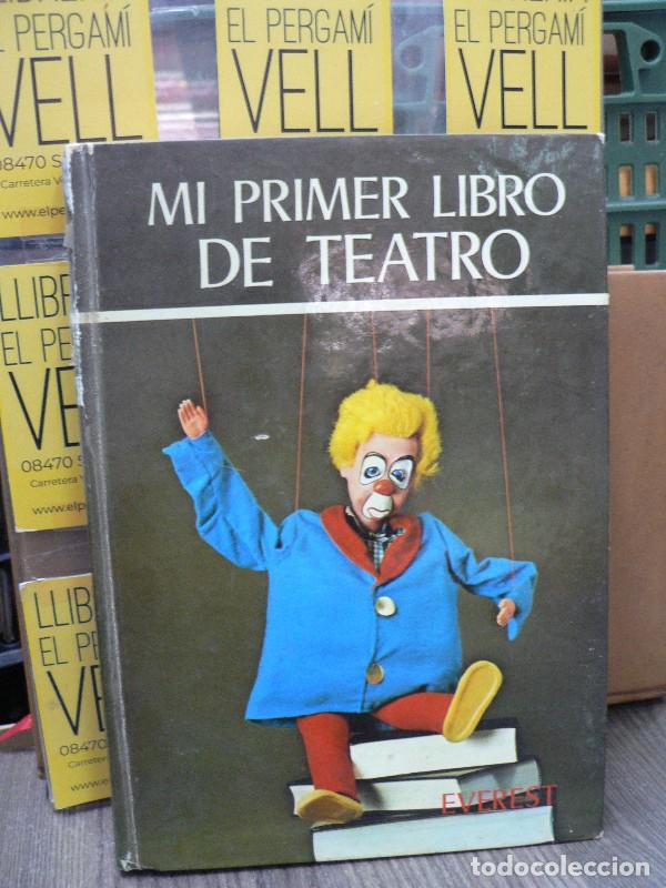 Libros de segunda mano: Mi Primer Libro de Teatro - Gonz&aacute;lez de Ajo, Julia - Editorial Everest