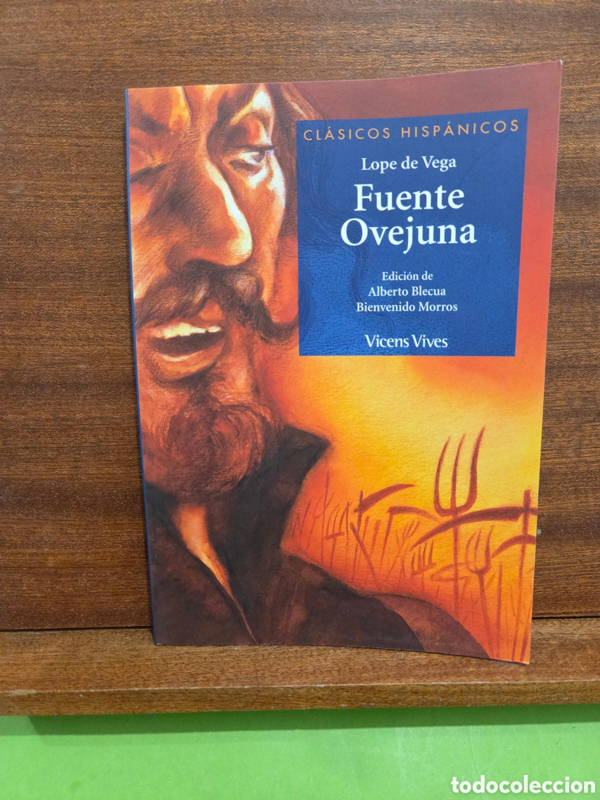 Libros de segunda mano: LOPE DE VEGA...&rdquo;&rdquo;FUENTE OVEJUNA&rdquo;&rdquo;...VICENS VIVES...2016...