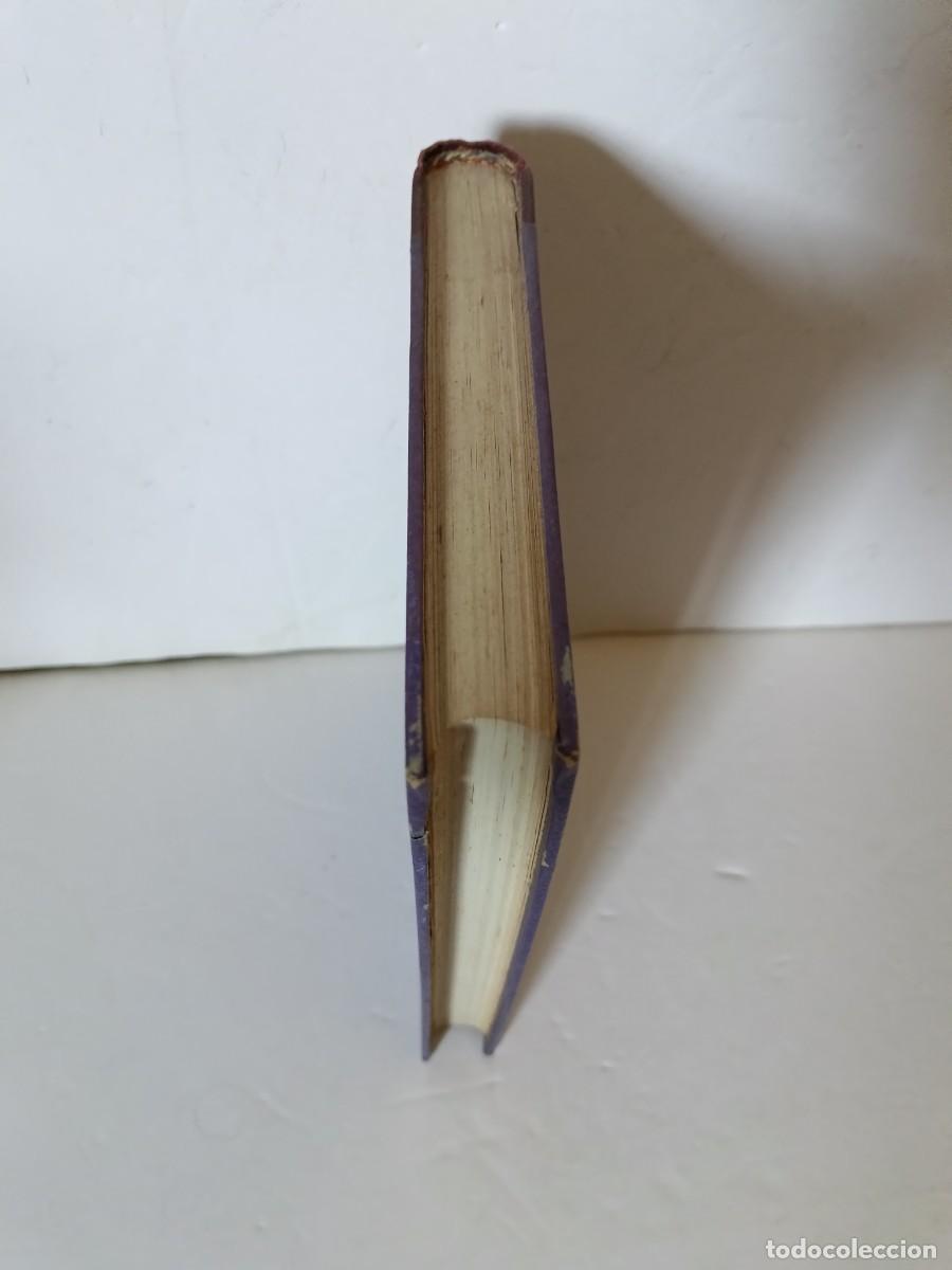 Libros de segunda mano: Los ni&ntilde;os perdidos en la selva - Foto 5