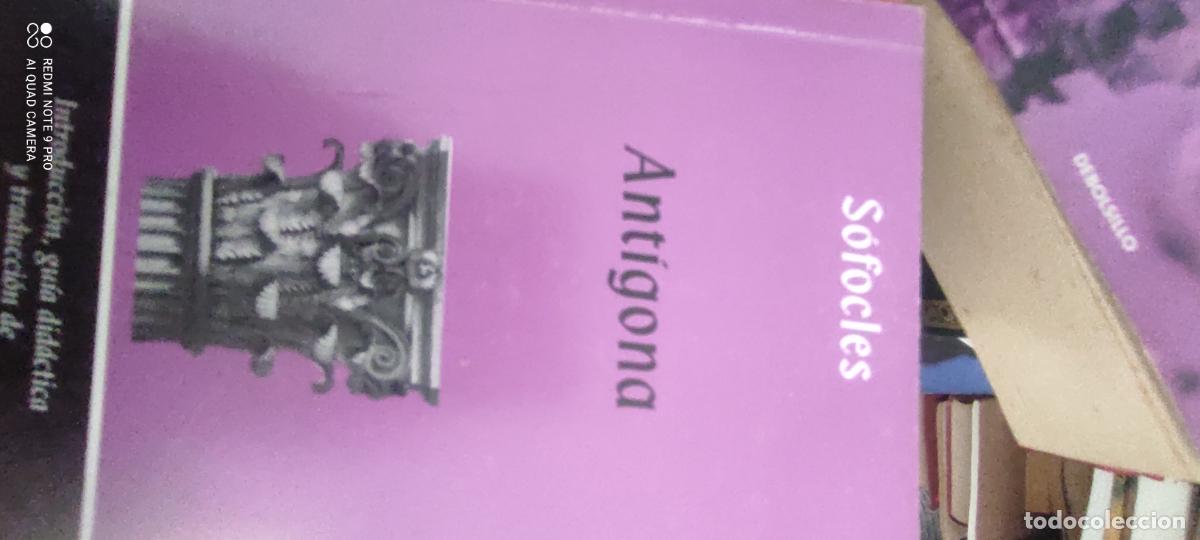 Libros de segunda mano: Antigona de sofocles