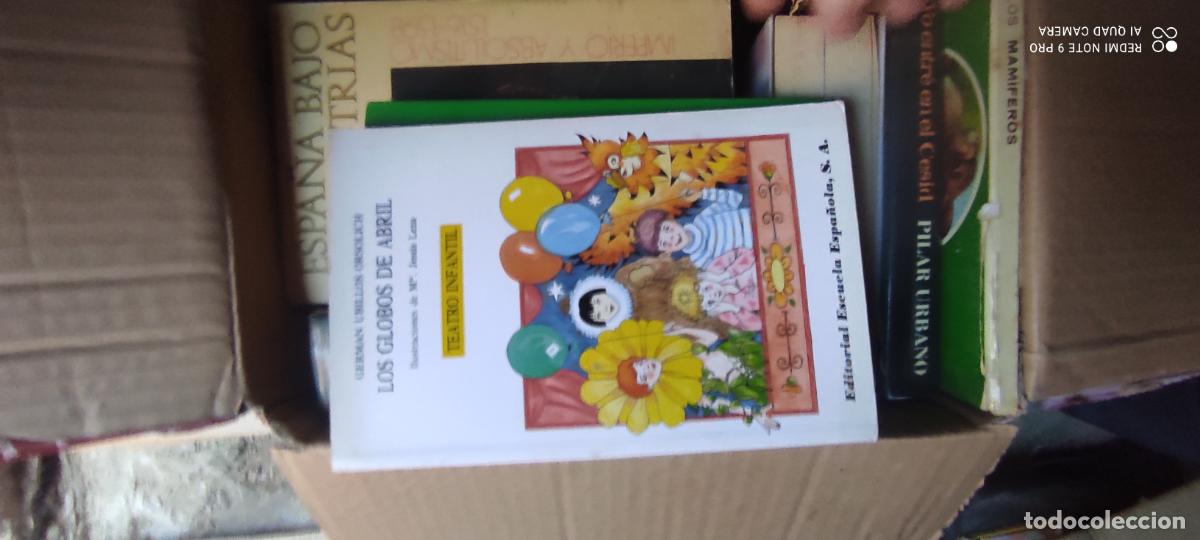 Libros de segunda mano: Los globos de Abril Teatro Infantil