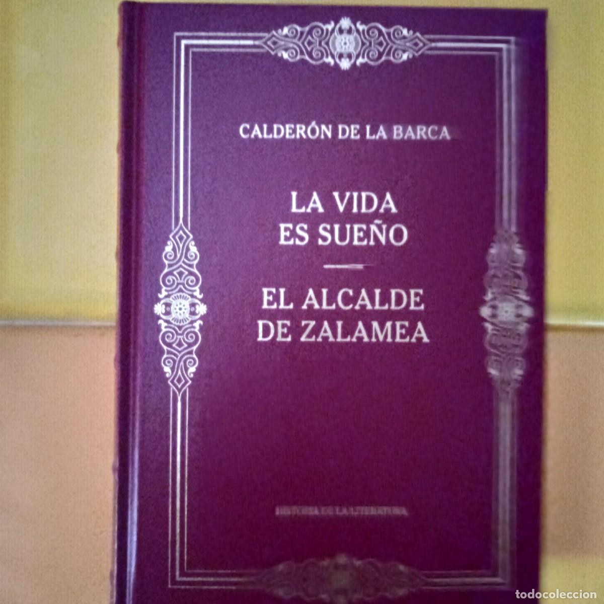 Libros de segunda mano: CALDER&Oacute;N DE LA BARCA, LA VIDA ES SUE&Ntilde;O (Historia de la literatura)
