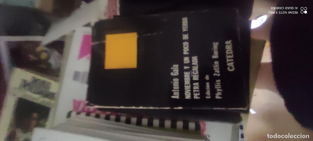 Libros de segunda mano: ANTONIO GALA.- Noviembre y un poco de yerba - Petra regalada. C&aacute;tedra (1983). Edici&oacute;n de Phyllis Zat