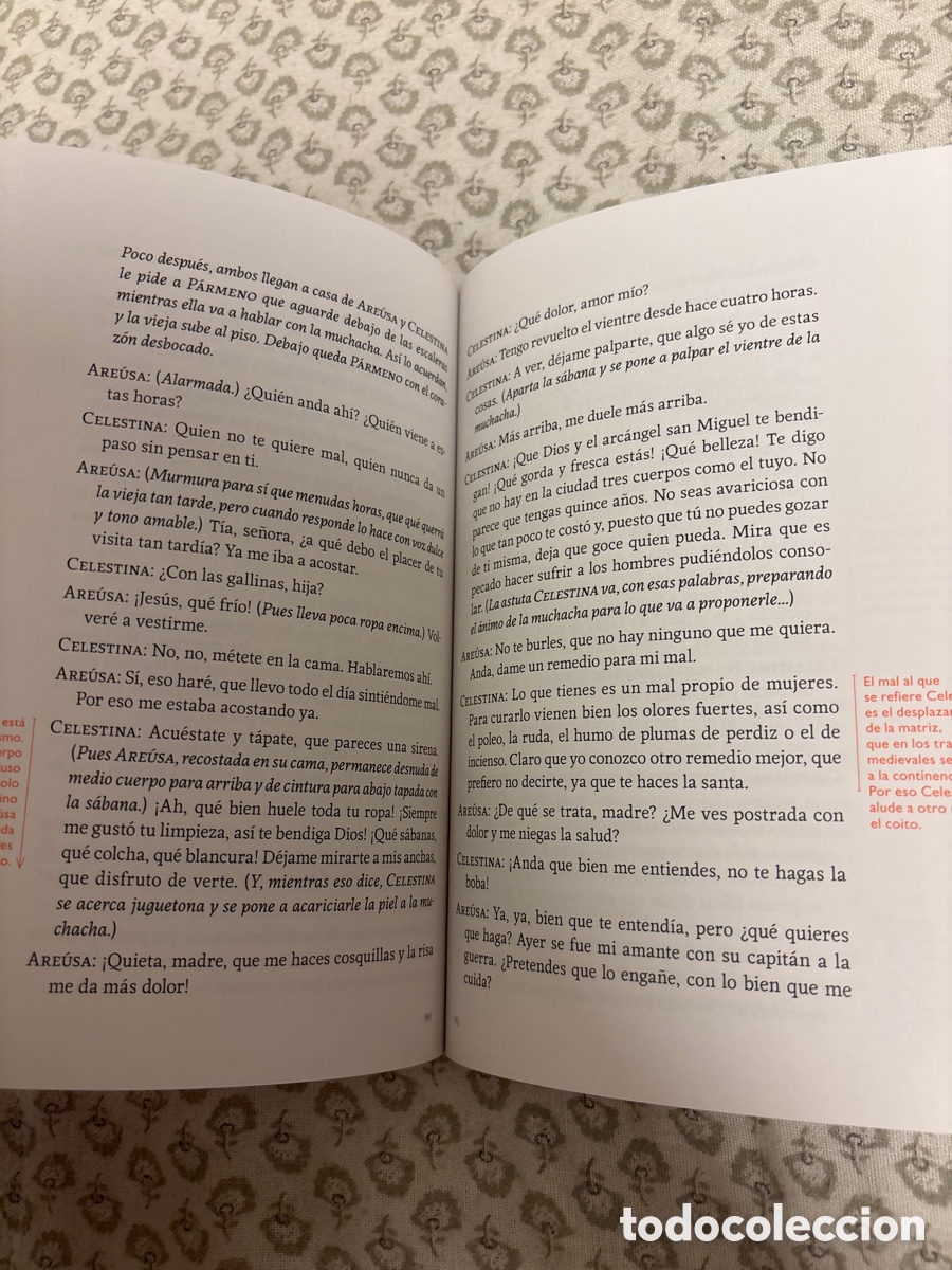 Libros de segunda mano: Libro La Celestina - Fernando de Rojas (SM) - Foto 3