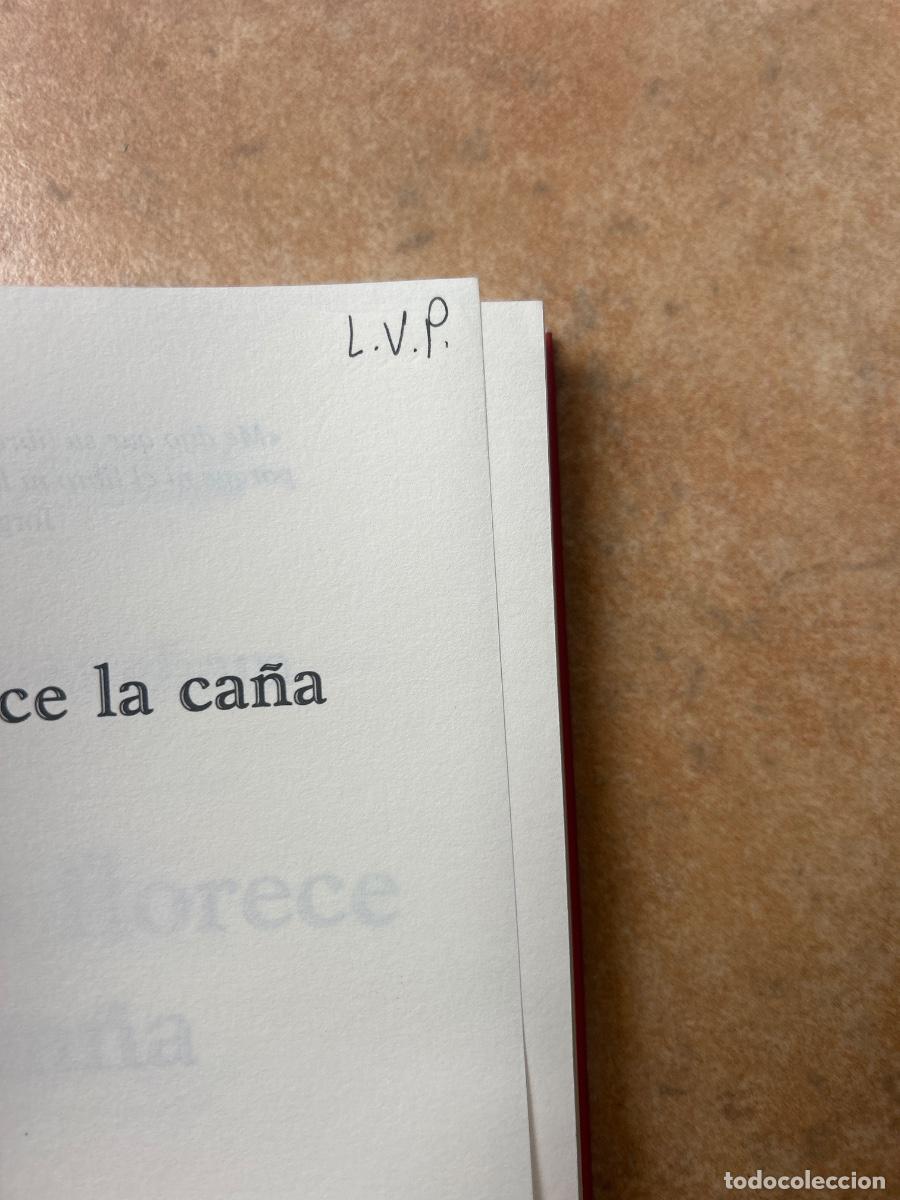 Libros de segunda mano: Cuando florece la ca&ntilde;a - John Conyngham - Foto 2