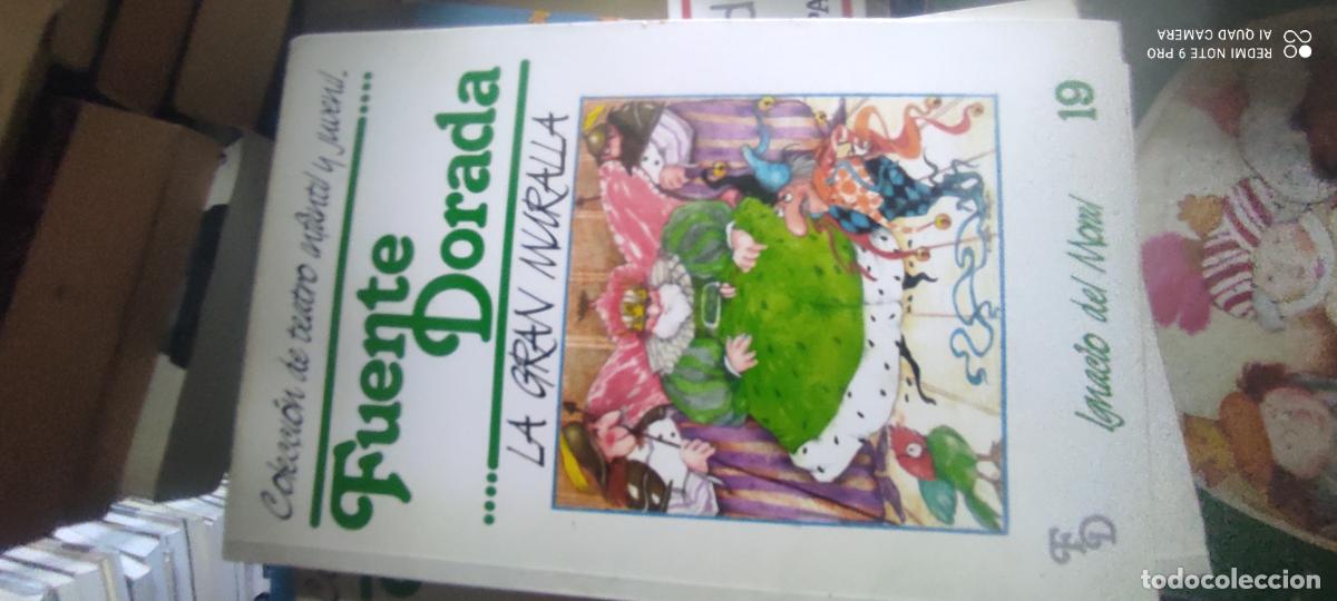Libros de segunda mano: COLECCION DE TEATRO INFANTIL Y JUVENIL FUENTE DORADA N&ordm; 19 - LA GRAN MURALLA IGNACIO DEL MORAL 1989