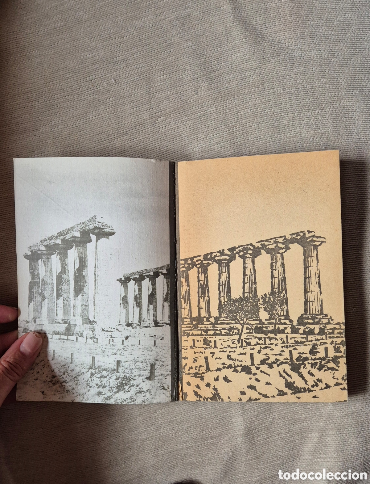 Libros de segunda mano: La Celestina. Fernando de Rojas - Foto 2