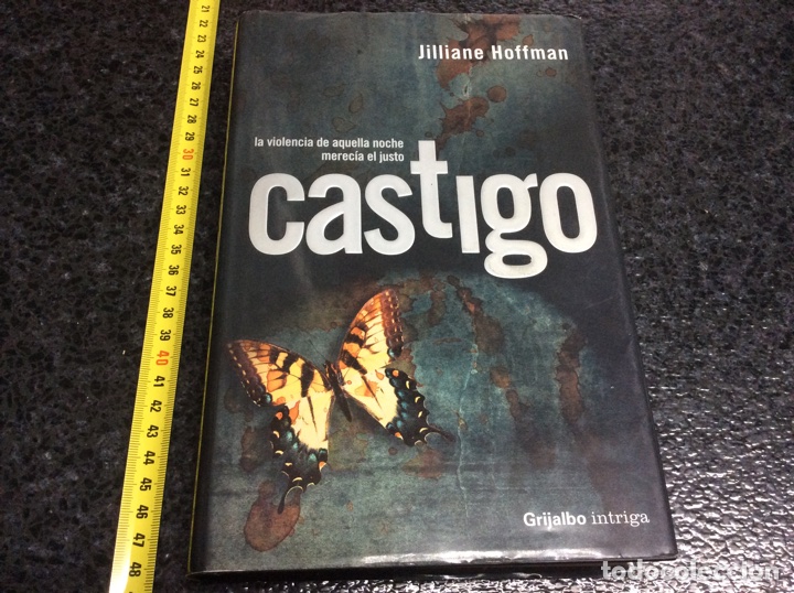 Libros de segunda mano: CASTIGO  /  JILLIANE HOFFMAN - Foto 1