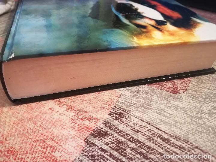 Libros de segunda mano: Cujo - Stephen King - Foto 8