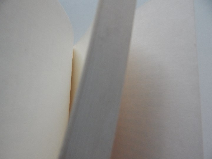 Libros de segunda mano: Speedway - Philippe Thirault, 2000 - Libro franc&eacute;s - Foto 4