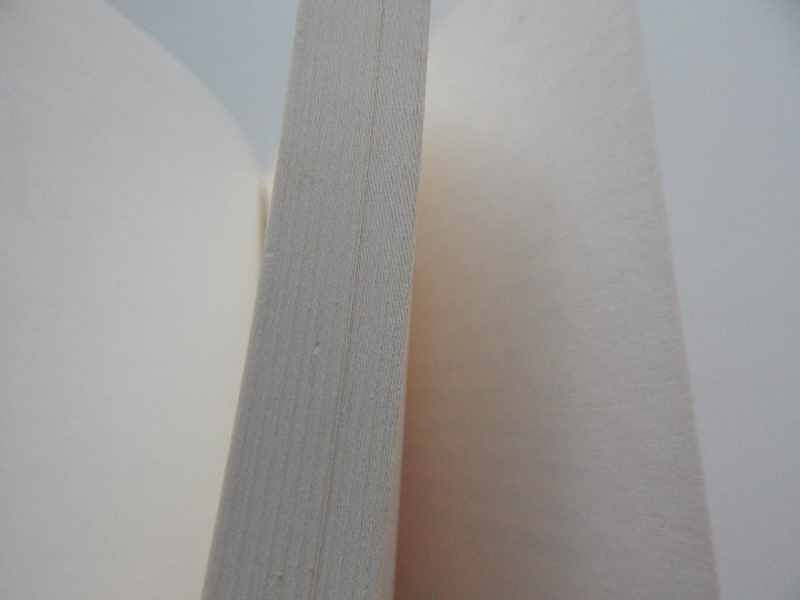 Libros de segunda mano: Speedway - Philippe Thirault, 2000 - Libro franc&eacute;s - Foto 4