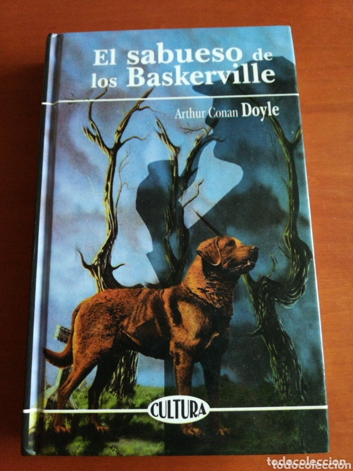 El Sabueso De Los Baskerville Preguntas Y Respuestas