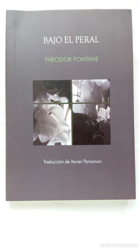 Libros de segunda mano: Bajo el peral. Theodor Fontane. - Foto 1