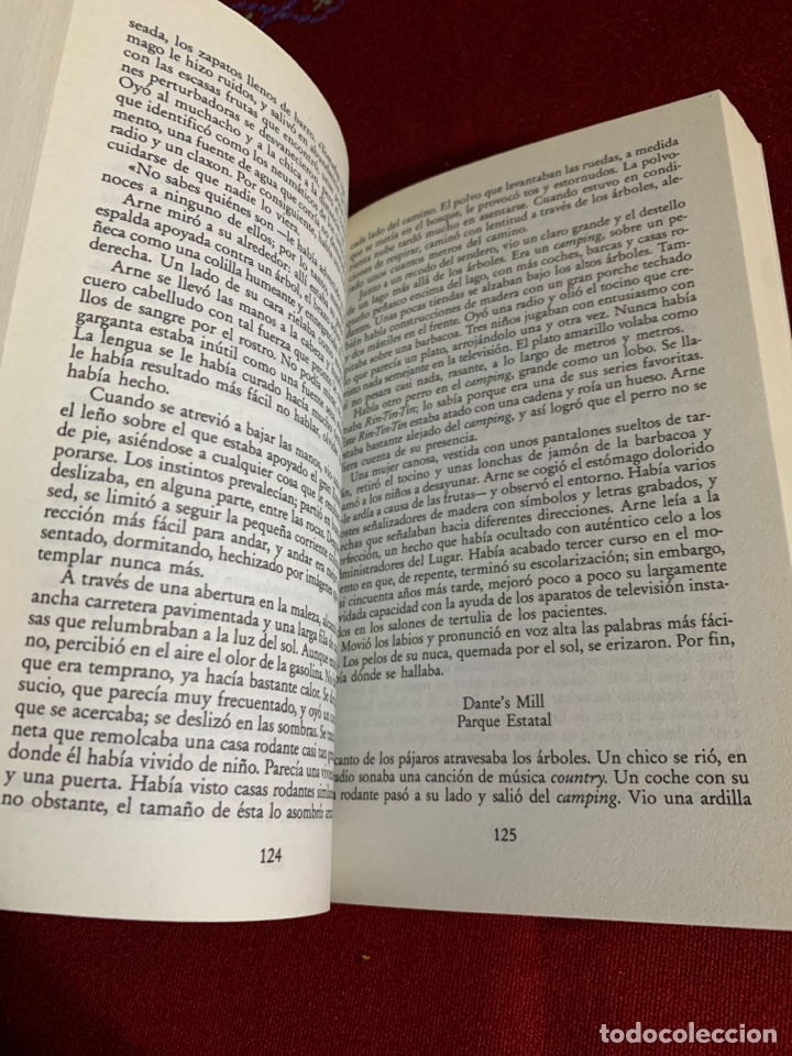 Libros de segunda mano: Demonios. John Farris. Editorial Lipsa. - Foto 4