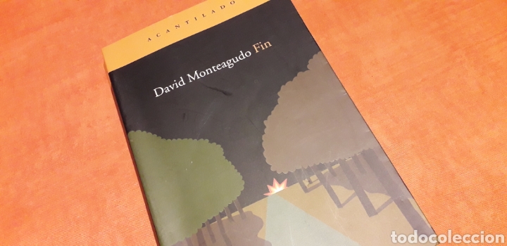 Libros de segunda mano: FIN, DAVID MONTEAGUDO, - Foto 1