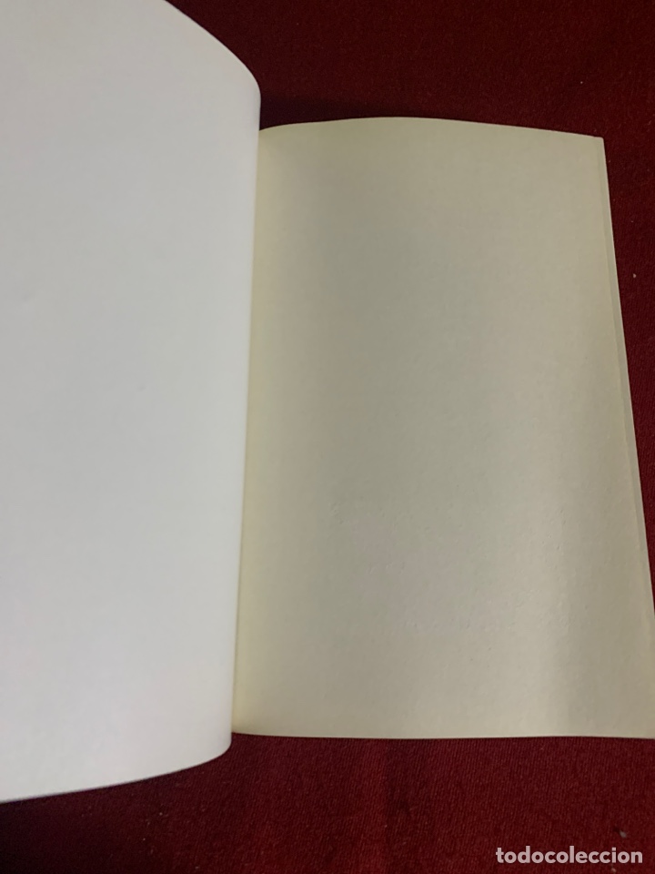 Libros de segunda mano: Ir&egrave;ne. Pierre Lemaitre. - Foto 3
