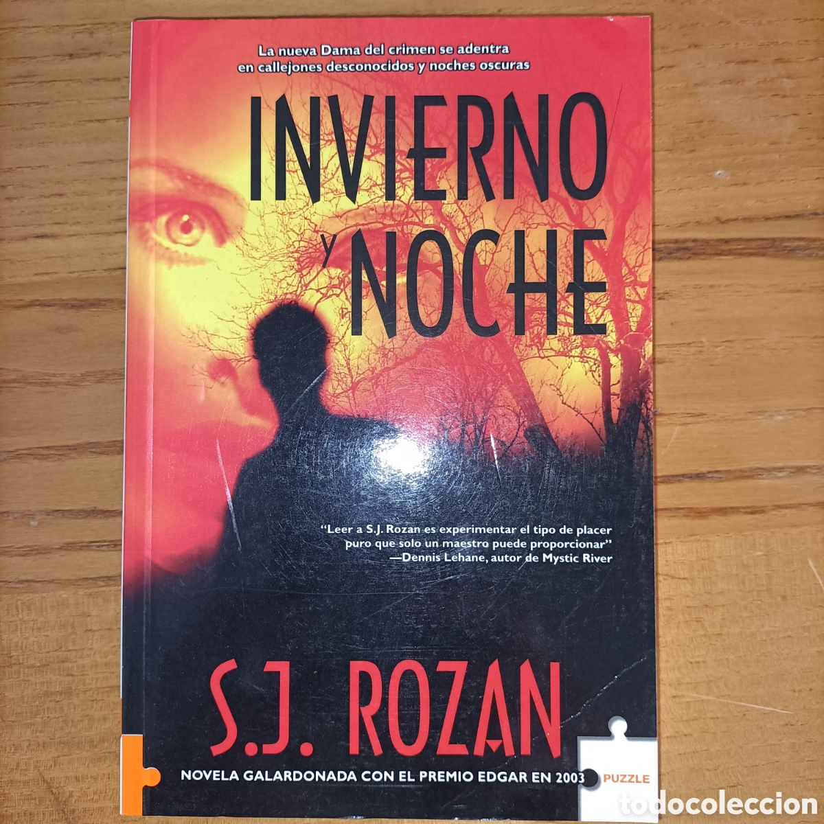 Libros de segunda mano: Invierno y noche. S. J. Rozan - Foto 1