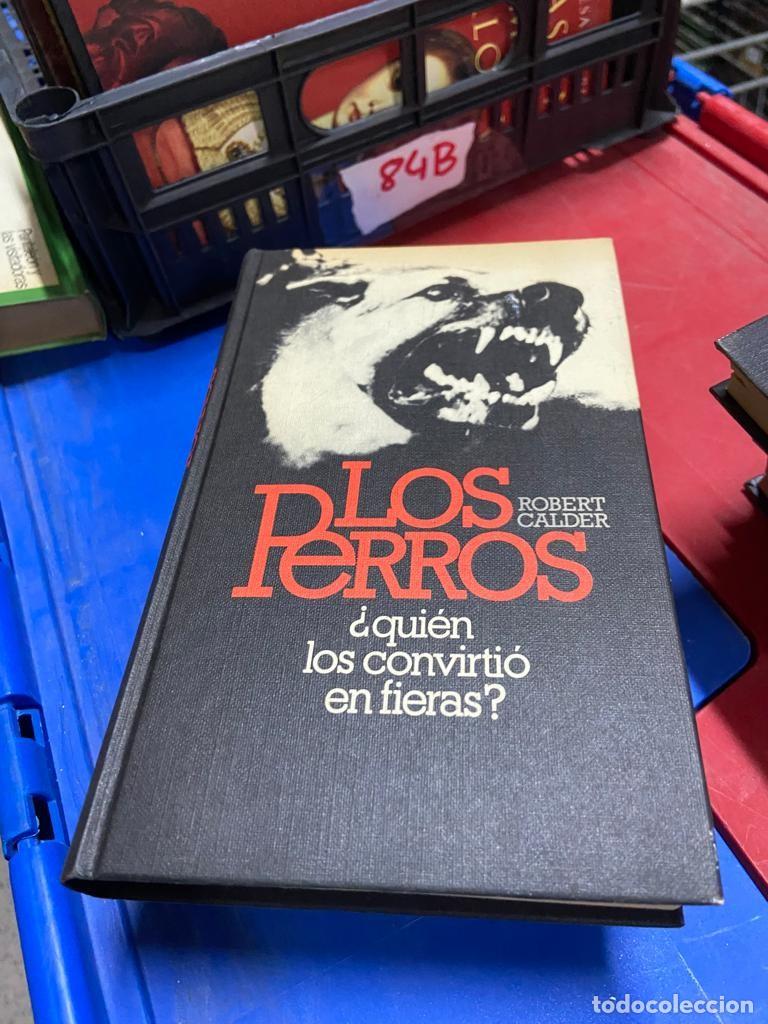 Libros de segunda mano: 84B LOS PERROS, ROBERT CALDER - Foto 1