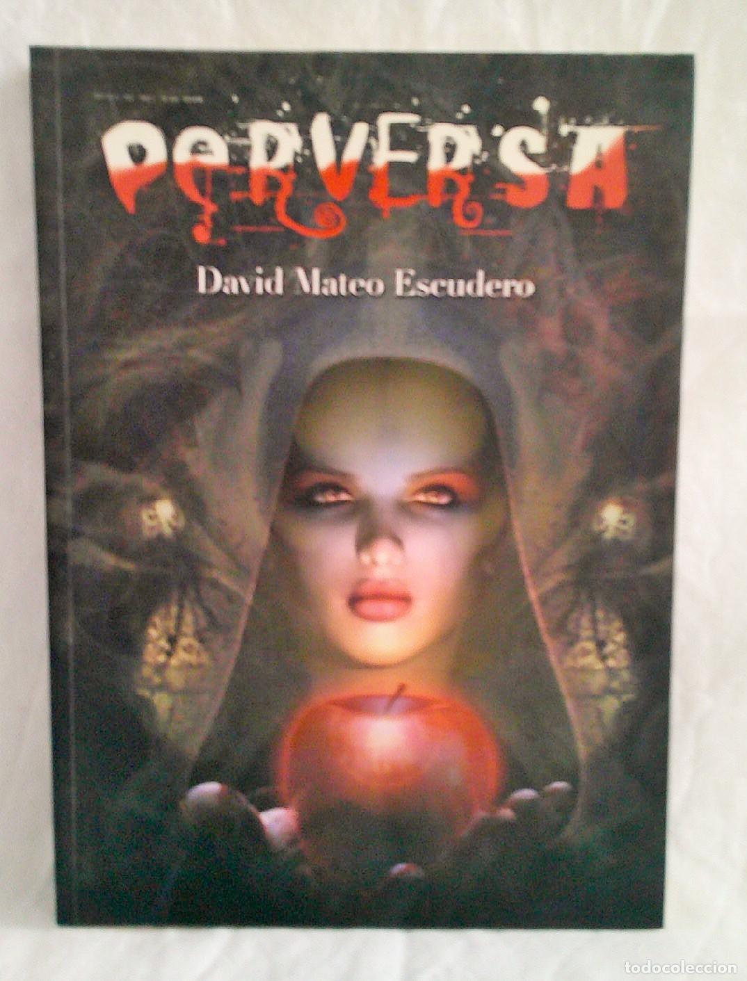 Libros de segunda mano: LIBRO E14 * PERVERSA DAVID MATEO ediciones Inquedanzas, a&ntilde;o 2008, 1&ordf; edici&oacute;n, terror