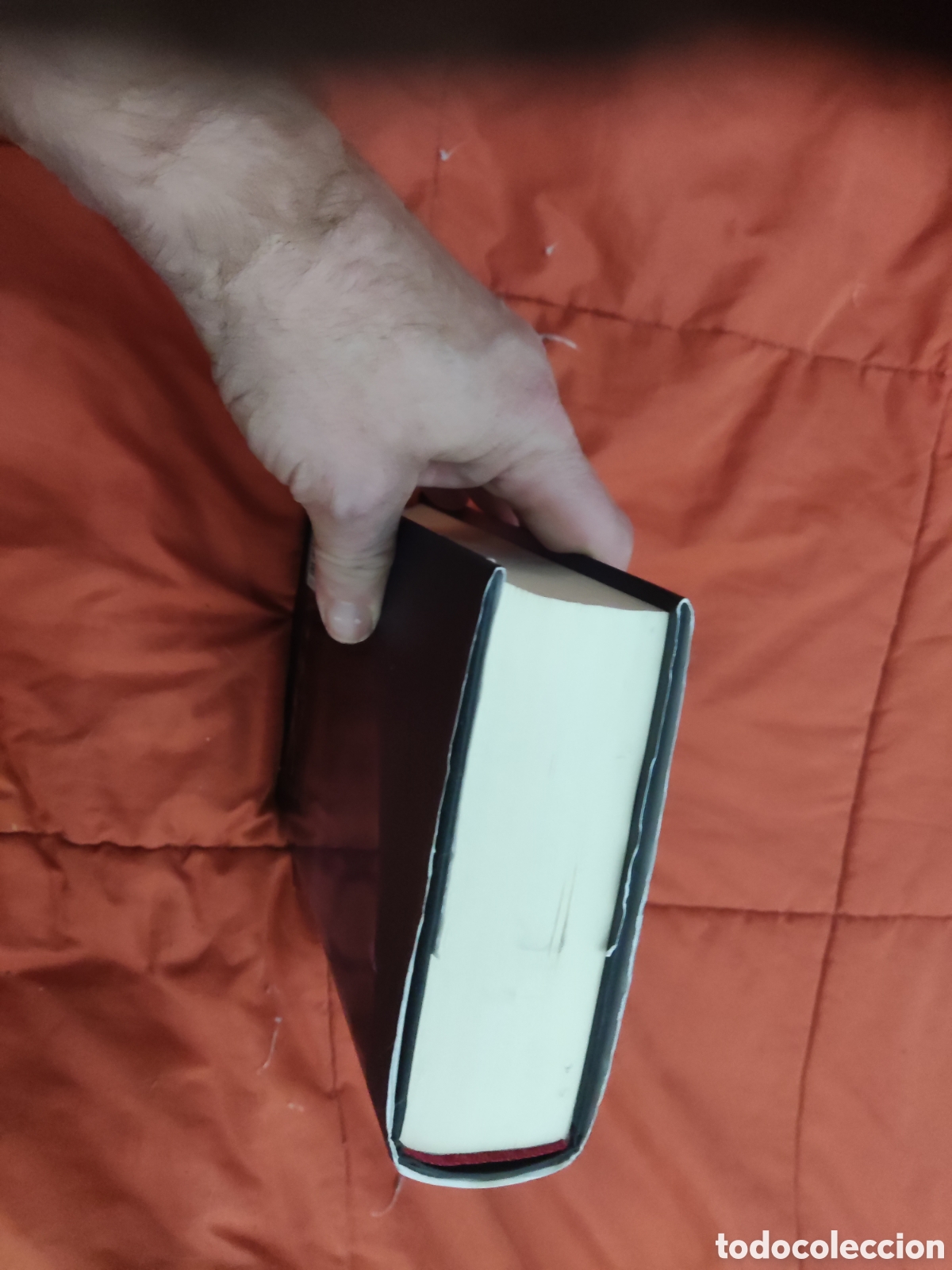 Libros de segunda mano: LA CUPULA DE STEPHEN KING - Foto 3