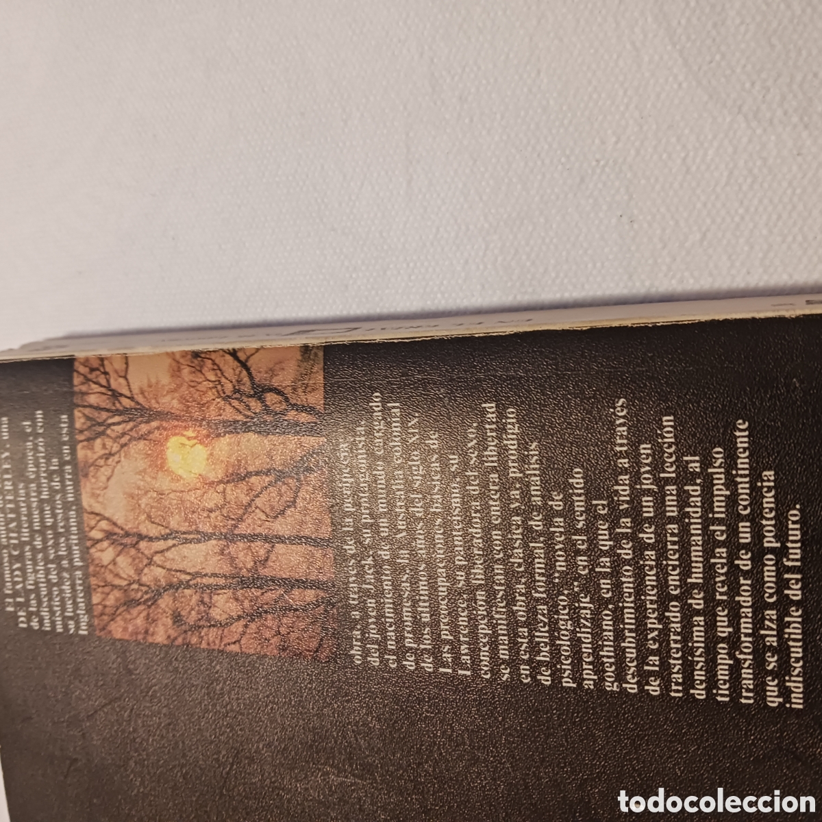 Libros de segunda mano: En el erial de D.H.Lawrence - Foto 7