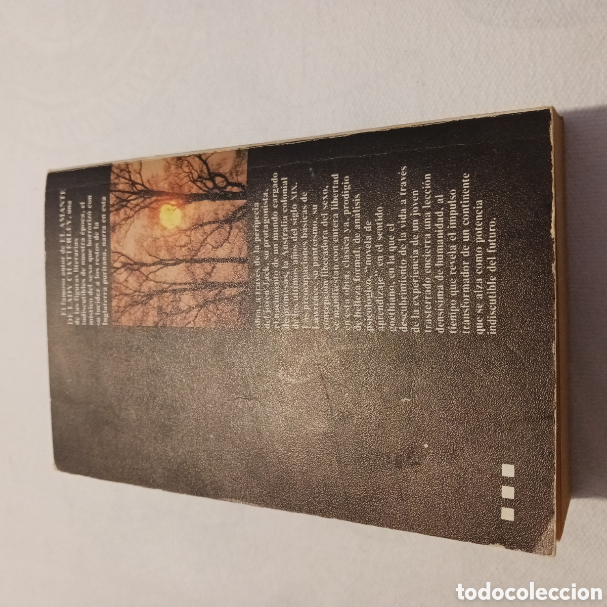 Libros de segunda mano: En el erial de D.H.Lawrence - Foto 8