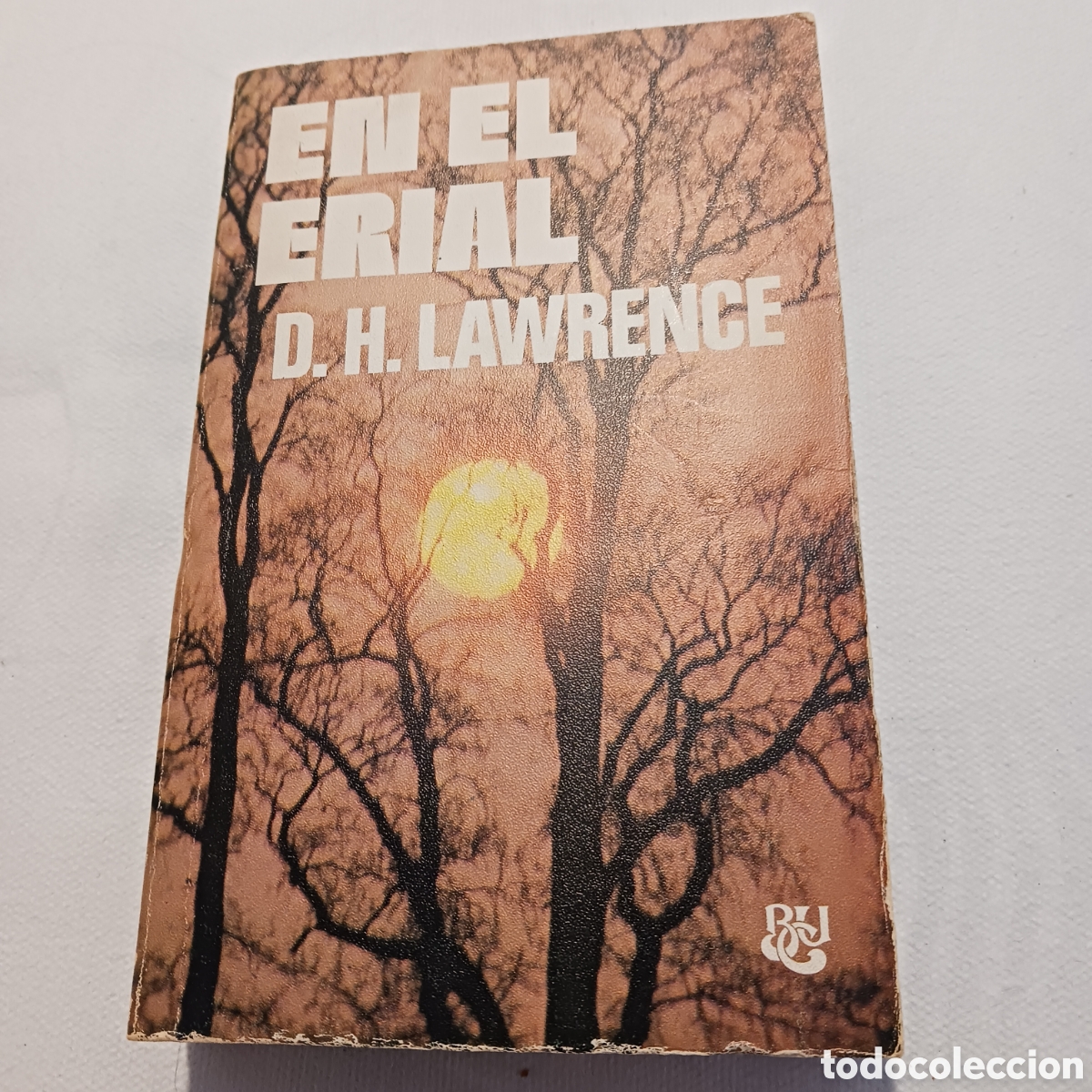 Libros de segunda mano: En el erial de D.H.Lawrence - Foto 1