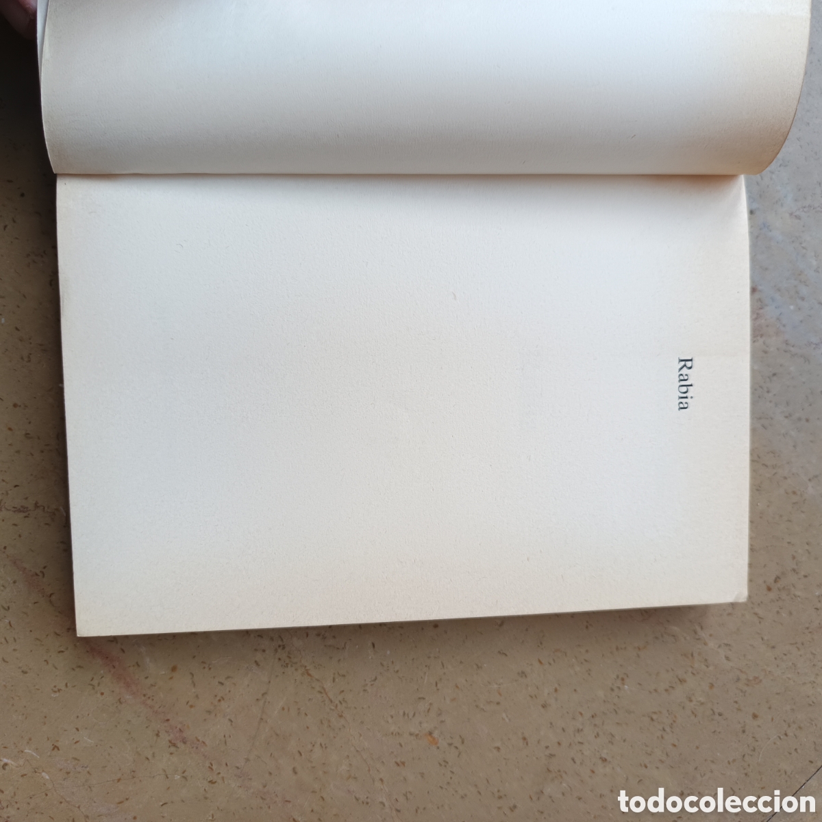 Libros de segunda mano: Rabia. Stephen King. Gran Super Terror. - Foto 7