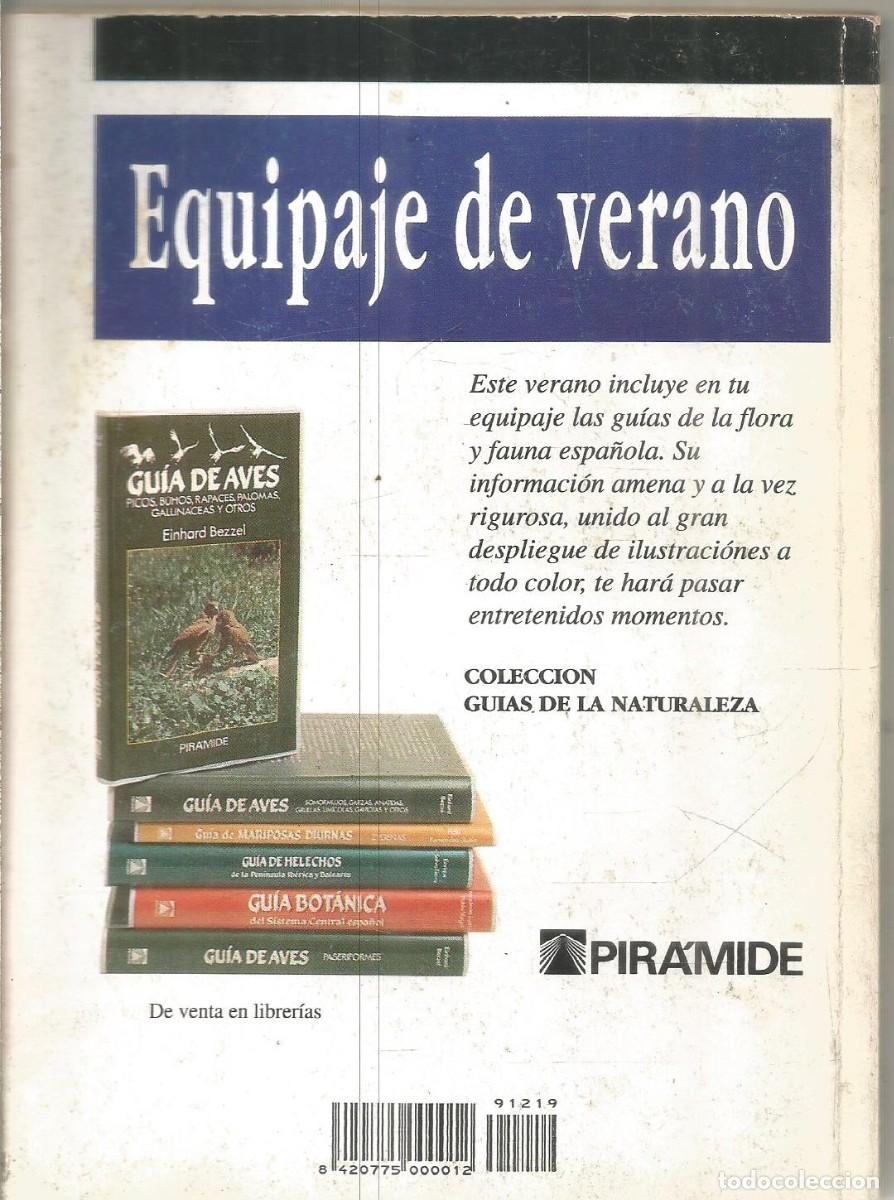 Libros de segunda mano: E.T.A. HOFFMANN. LA CASA VACIA. EL SOL - Foto 2